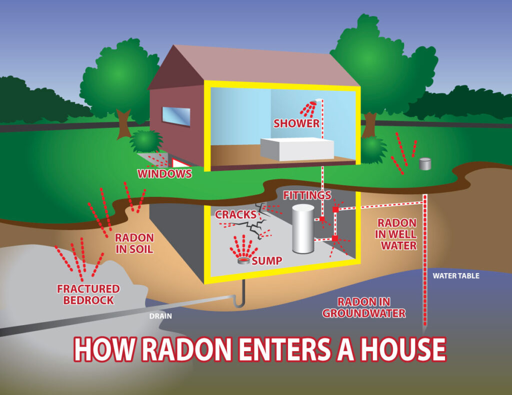 Can Cats Get Lung Cancer From Radon / 6 Lung Cancer Causes and Risk Factors in Non-Smokers - Fortunately, we are seeing more and more efforts encouraging radon testing in homes and schools.